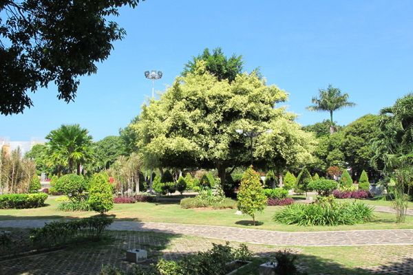 Taman Sritanjung di Banyuwangi, Contoh Taman Kota yang Cantik