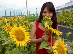 Yang Cantik dan Seksi di Bandara Changi