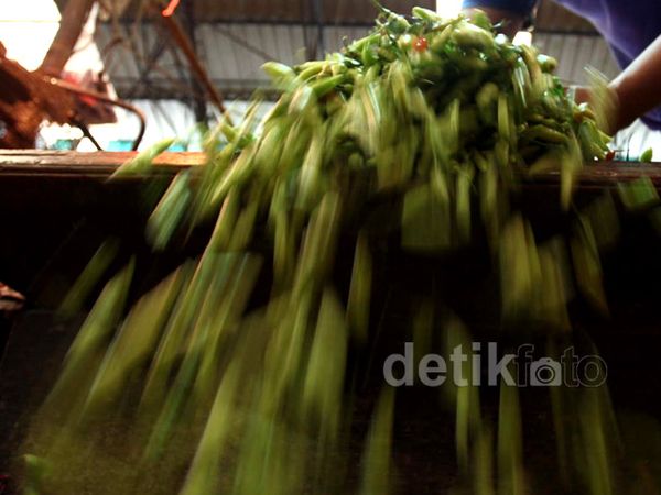 Harga Cabai Rontok