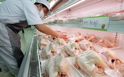 Harga Daging Ayam Broiler dan Kampung di Hipermarket Hari Ini