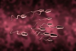 Hai Pria, Ini Kunci Miliki Bentuk dan Ukuran Sperma yang Normal