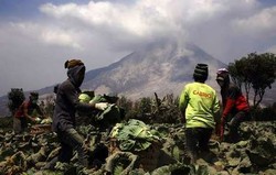 Pemerintah Pastikan Beri Bantuan ke 12 Ribu Pengungsi Sinabung
