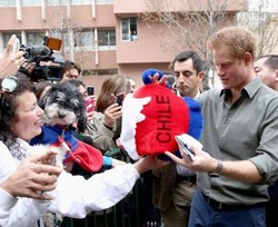 Kunjungi Chile, Pangeran Harry Dicium Banyak Fans Wanita