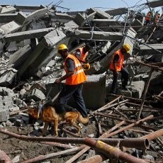 Gedung 11 Lantai Ambruk di India, 11 Orang Tewas