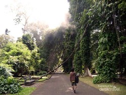 Mengisi Waktu Puasa di Kebun Raya Bogor