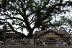 Wisata Religi Ramadan di Makam Syahid Lapan Kab Bireun, Aceh