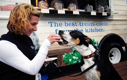 Wah, Kini Ada Food Truck Khusus untuk Makanan Anjing!