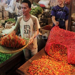 Produksi Cabai RI Lebih Tinggi daripada Kebutuhan Tapi Harga Naik-Turun