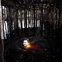 10 Pewarta Foto Dokumentasikan Danau Sentarum