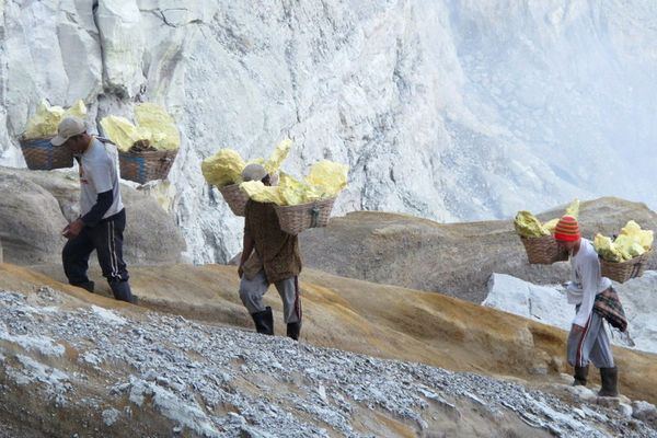 Potret Perjuangan Para Penambang Belerang di Ijen