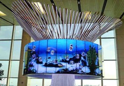 Bandara Changi Singapura Punya Pohon Ajaib!