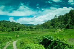 Lanskap Hijau Menyegarkan Mata di Mane, Aceh