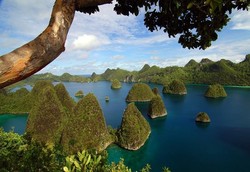 Pariwisata yang Ramah Lingkungan di Raja Ampat