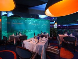 Hong Kong Juga Punya Restoran Bawah Laut!