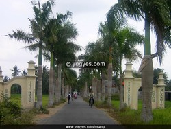 Mlangi, Dusun Islami di Sebelah Barat Kota Yogyakarta