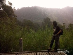 Sejuknya Jalur Pendakian Gunung Gede Pangrango