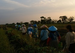 60 Anak Petani Dapat Beasiswa dari Dompet Dhuafa
