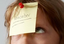 Konsumsi Ginkgo Biloba Karena Tak Ingin Pikun, Bermanfaatkah?