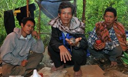 Cerita Mistis Warga di Balik Penemuan Tikus Keramat Air Genus Baru di Sulbar