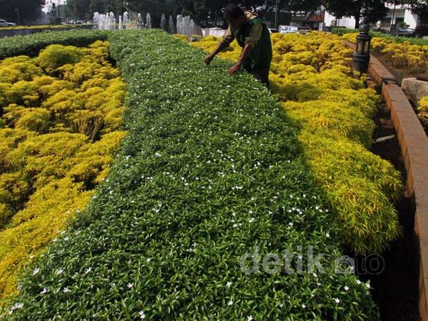 Perawatan Taman Kota Imam Bonjol
