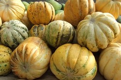 Blewah dan Kolang-Kaling, Buah Khas Bulan Puasa yang Kaya Manfaat