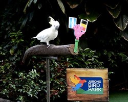 Sassy Tebak Brasil dan Jerman Lolos, Argentina dan Belanda Tersingkir