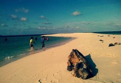 Sst! Intip yang Cantik dari Gresik