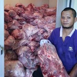 Penampakan 4 Ton Daging Celeng yang Diselundupkan Hari Ini