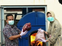 Belum Kapok, Penyelundupan 4 Ton Daging Celeng Kembali Ditangkap