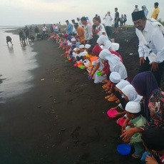 Puluhan Anak Yatim Diajak Melepas Tukik di Pantai Boom Banyuwangi