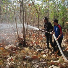 Kebakaran Hutan Baluran Nyaris Hanguskan Lokasi Tinjau Latpur TNI