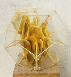 Patung-Patung Ini Dibuat Oleh Lebah