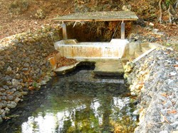 Ngeri, Ada Sudut Mistis di Pantai Srau Pacitan