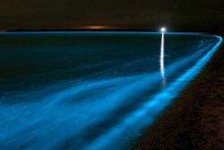 Aneh Tapi Nyata, 3 Laut di Dunia Ini Bercahaya