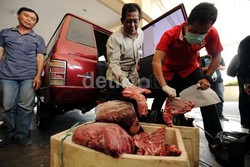 Darurat Penyelundupan Daging Celeng Belum Berakhir, Ini Buktinya