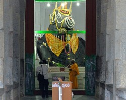 Misteri Patung Sapi Jantan yang Terus Tumbuh di India