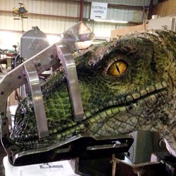 Penampakan Velociraptor di Jurrasic World