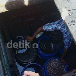 Ini Jurus Pemerintah Berantas Maling Ikan di Laut Indonesia