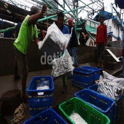 Pemerintah Klaim Praktik Maling Ikan di Laut Indonesia Turun