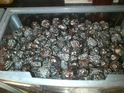 Waspada! Jangan Tertipu dengan Kurma Nabi Palsu