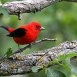 Hari Ini Pahlawan Adalah Rakyat, Kalahkan Mesin Uang dan Kampanye Hitam