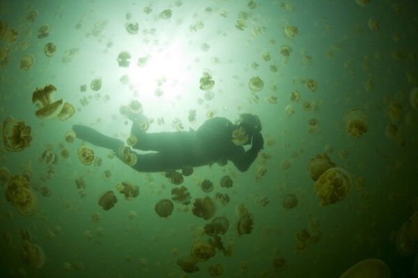 Danau Terunik di Dunia dalam Rekaman Lensa