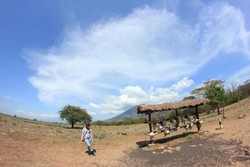 Miniatur Alam Indonesia di Taman Nasional Baluran