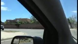 Ngumpet di Mesin, Ular Pyton Bikin Mobil Mogok