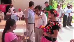 Demi Panen di Laut, Walikota di Meksiko Rela Nikahi Buaya