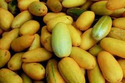 Timun Suri Selain Diberi Sirop, Lebih Bernutrisi Dikonsumsi Segar