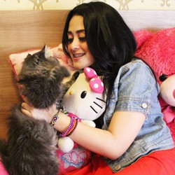 Koleksi Serba Pink di Apartemen Selvi Kitty