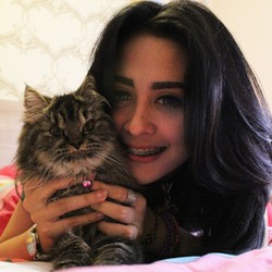 Yuk, Intip Apartemen Mini si Seksi Selvi Kitty