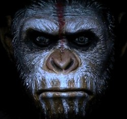 Dawn of the Planet of the Apes: Ketika Kera Mengajari Manusia