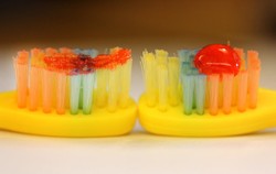 Tanpa Disadari, Hal-hal Ini Bikin Bakteri Antar Sikat Gigi Saling Mampir